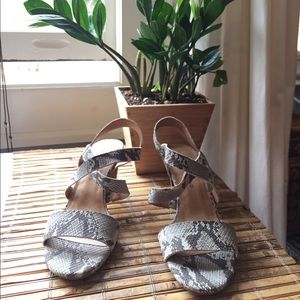 Lucky Brand Snake Skin Sandals 👡
